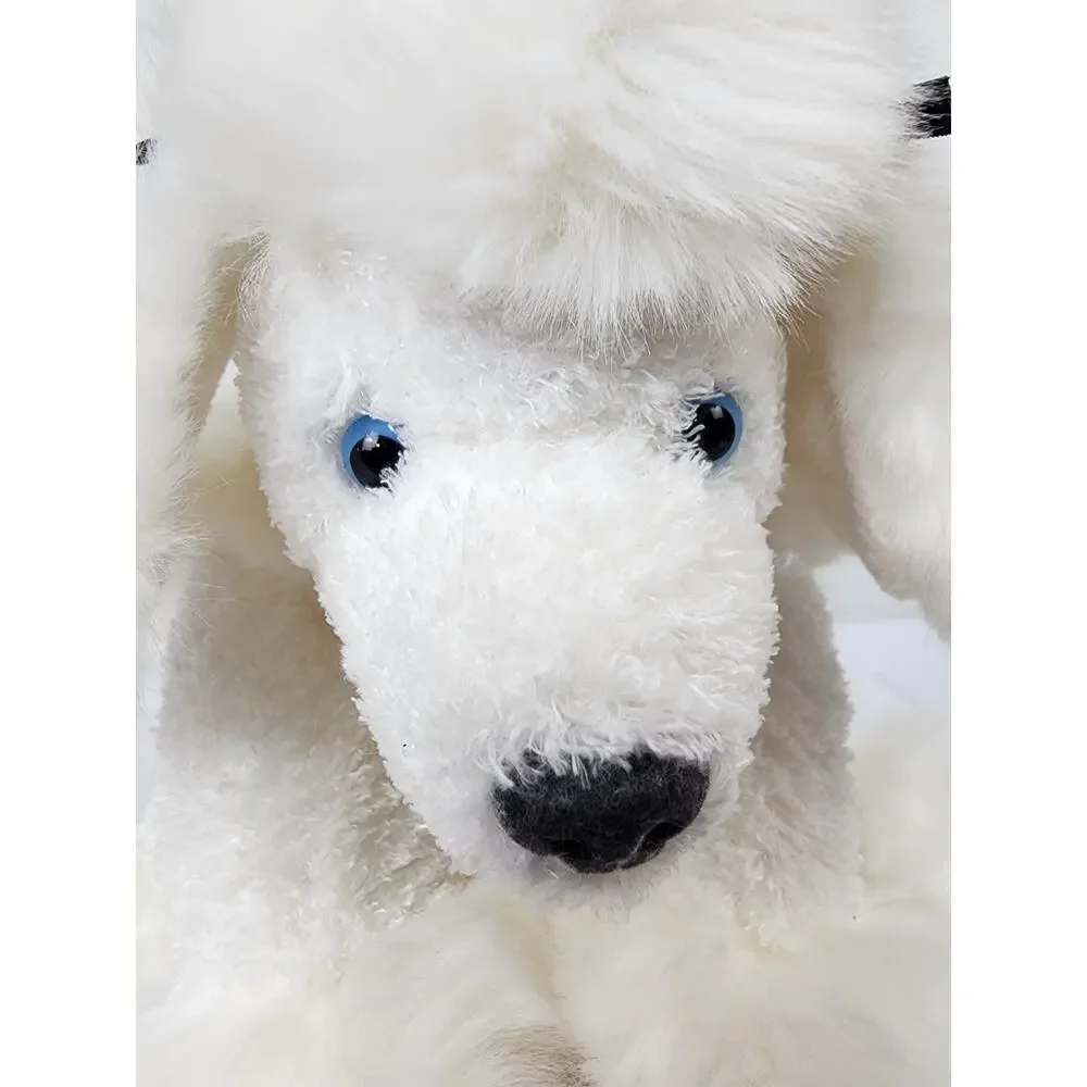 White French Poodle Dog 9